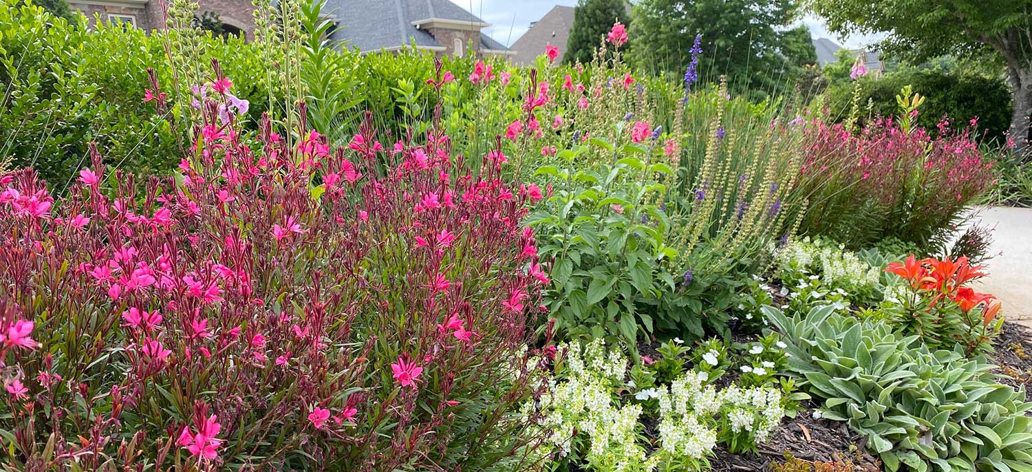 Small Garden Design - Jennifer Rust Botanicals
